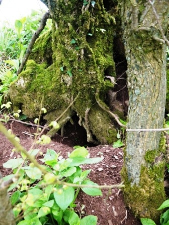 Rabbit Hole
