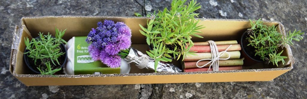 Birthday Box