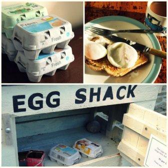 Egg Storage Egg Storage