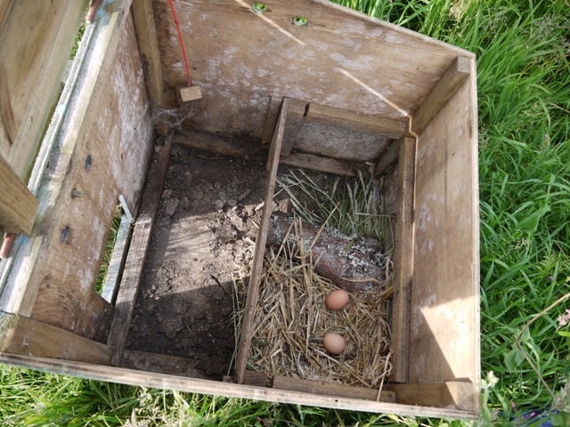 nest box