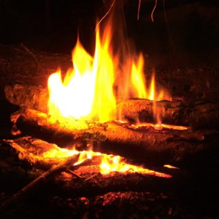 Log fire at night