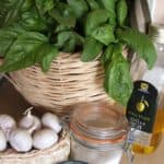 Homemade pesto ingredients