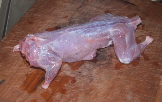 Crispy Fried Squirrel Recipe - The Hedgecombers
