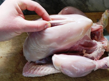 Butchering a Chicken 3