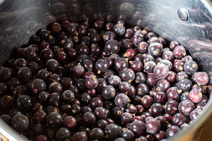 a silver saucepan filled with frozen blackcurrants ready to juice