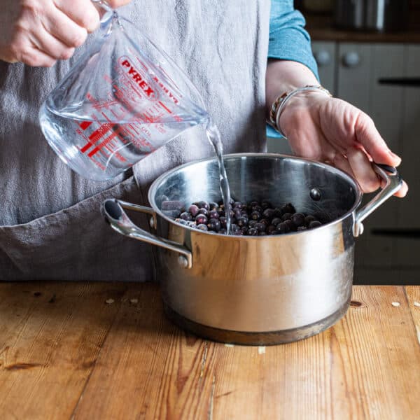 Blackcurrant Syrup Recipe {aka Make Your Own Ribena!}