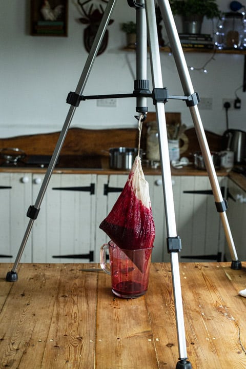 camera tripod holding a bag of draining blackcurrants dripping juice into a glass jug 