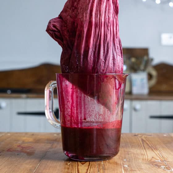 Blackcurrant Syrup Recipe {aka Make Your Own Ribena!}