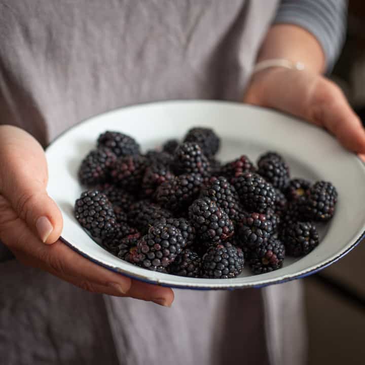 womans hands holding a white bowl filled with fresh blackberries