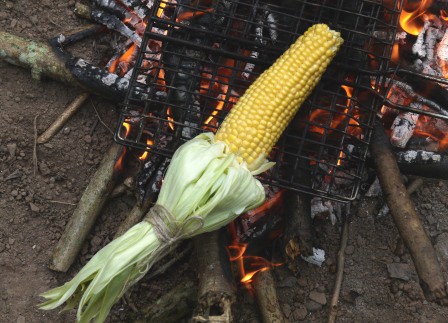 BBQ Corn on the Cob