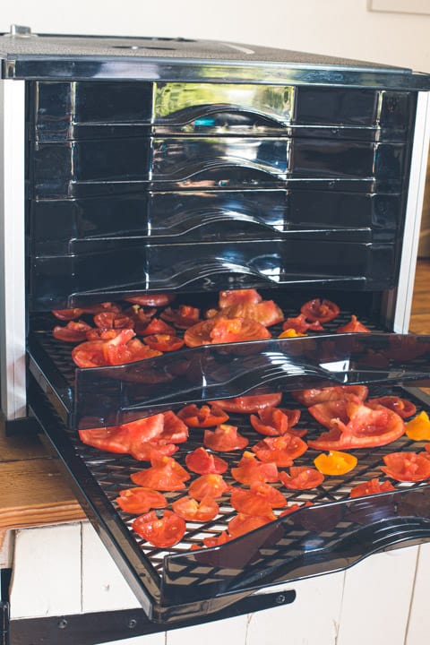 black dehydrator shelves partially open showing red halved tomatoes inside