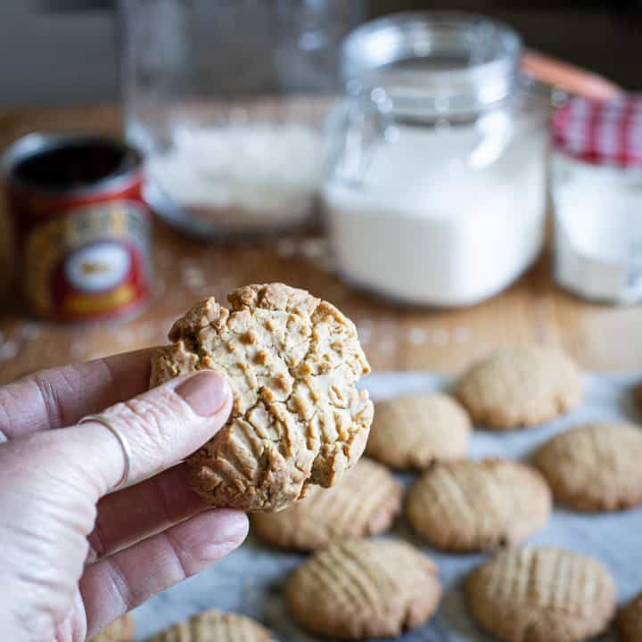 womans hand holding a warm ginger cookie against a kitchen that is messy with baking supplies