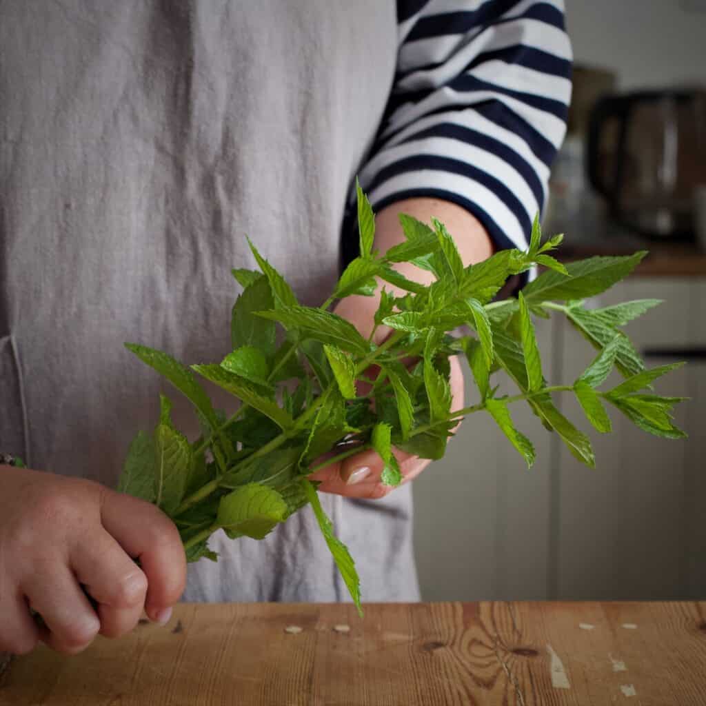 Woman in grey holding a bunch of fresh mint 