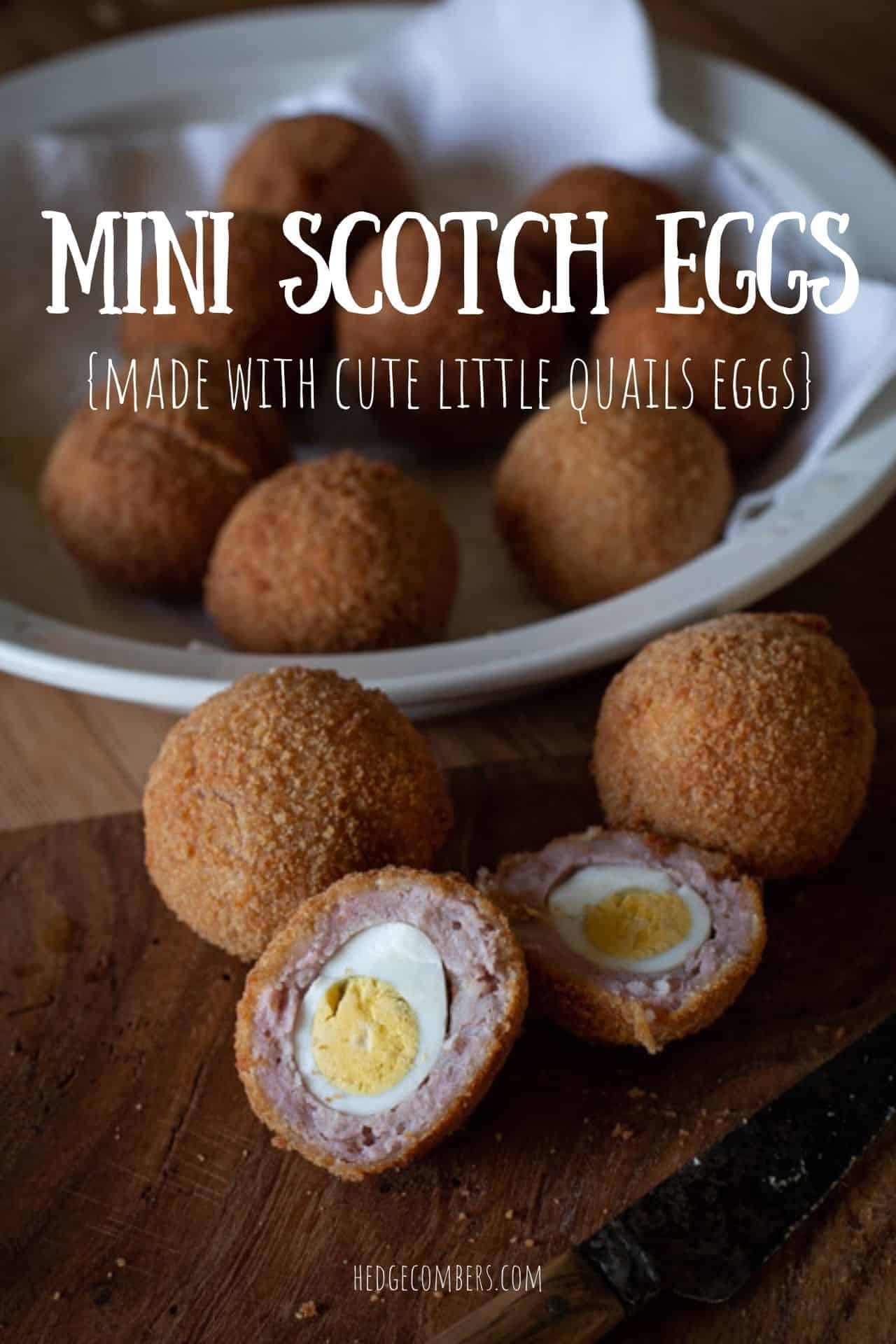 Mini Scotch Eggs Made with Cute Little Quails Eggs - The Hedgecombers