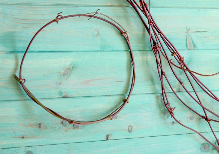 hoop of vine to make feather wreaths against a blue wooden background