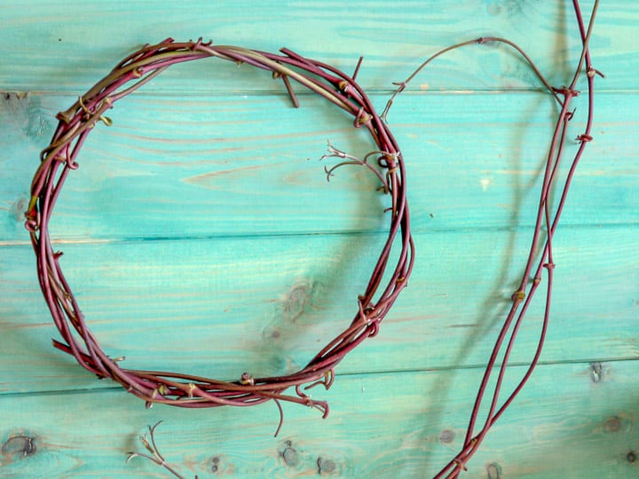 hoop of vine to make feather wreaths against a blue wooden background