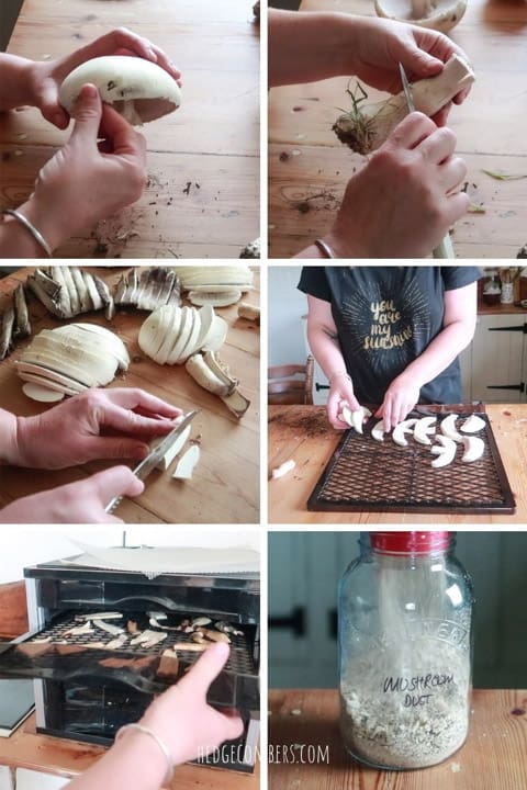 Step by step photos show how to dry mushrooms - cleaning dirt off top and stalk, slicing, putting in dehydrator and making into a powder