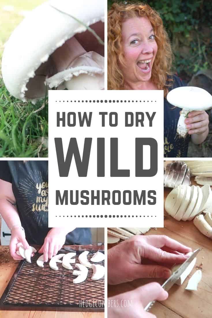 Collage of images of mushrooms being dried with 'How to dry mushrooms' written as a headline