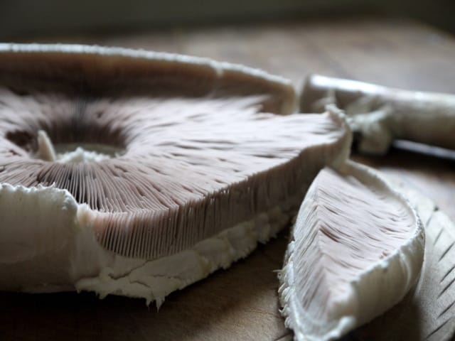 a wild mushroom sliced up on a wooden table