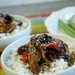 Teriyaki Chicken cooked in a crock pot