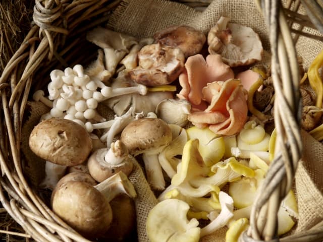 Mixed Mushrooms