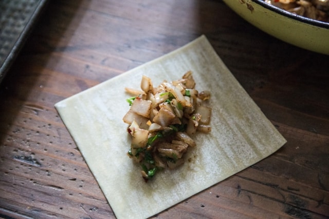 A vegetarian Wonton waiting to be rolled