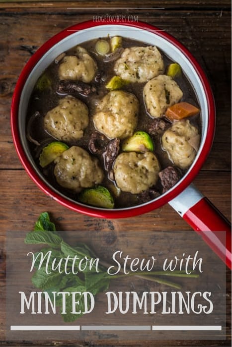 a red pan of Mutton Stew with Minted Dumplings on a wooden table beside a sprig of mint