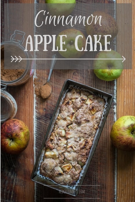 Rustic photo of wooden background, apple cake in a vintage loaf tin, with apples and glass jar of cinnamon, one of my 25 Homemade Christmas Gift Ideas