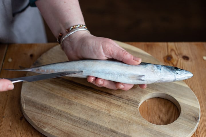 womans hands sliding a sharp silver knife into the vent of a mackerel