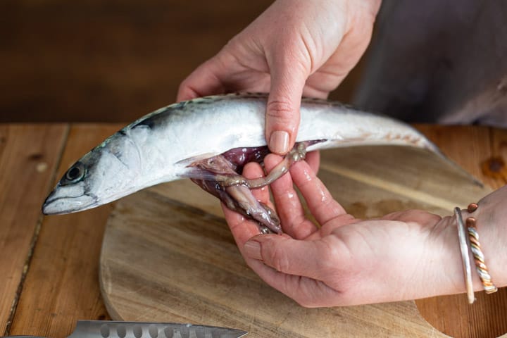 womans hands holding a mackerel and removing its intestines