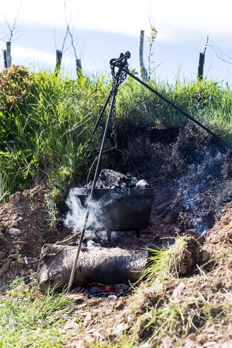 Dutch Oven Roast Chicken over a camp fire