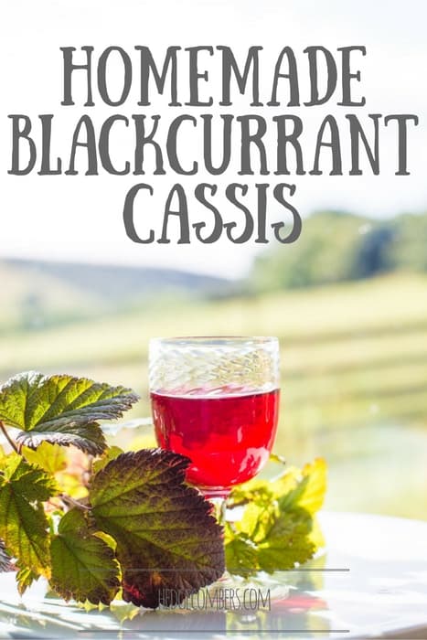 Homemade Blackcurrant Cassis in a glass on an outdoor table with Blackcurrant leaves 