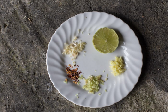 Asian spices for cooking with razor clams on a white plate