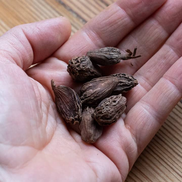 womans hand holding black cardamom pods