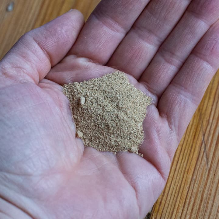 womans hand holding a teaspoon of ground cardamom spice powder