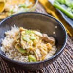 Oyakodon Japanese Chicken and Egg Bowl