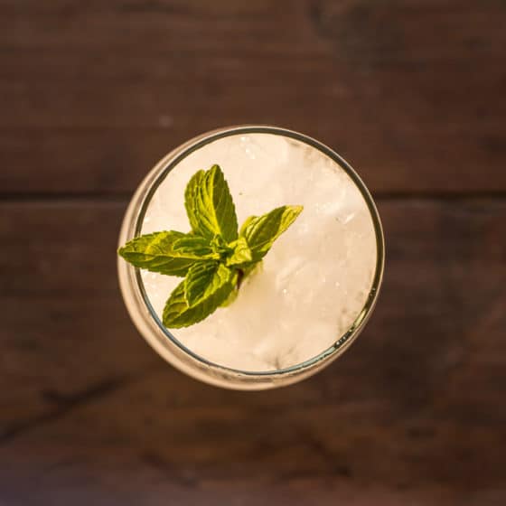 Elderflower & Vodka Cocktail Slush The