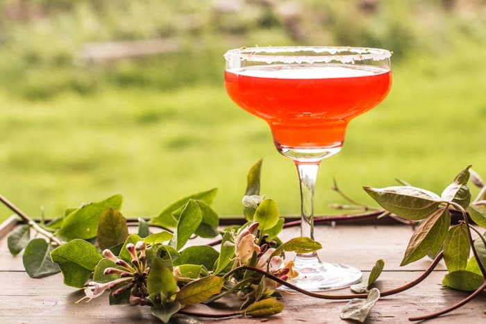 Sweet and Sour Cosmo Cocktail in a martini glass on an outdoor table