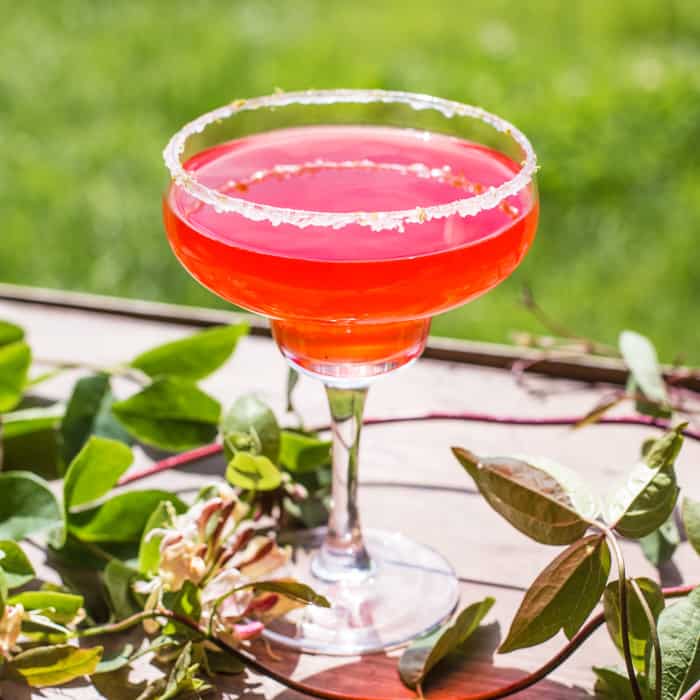 Sweet and Sour Cosmo Cocktail in a martini glass on an outdoor table