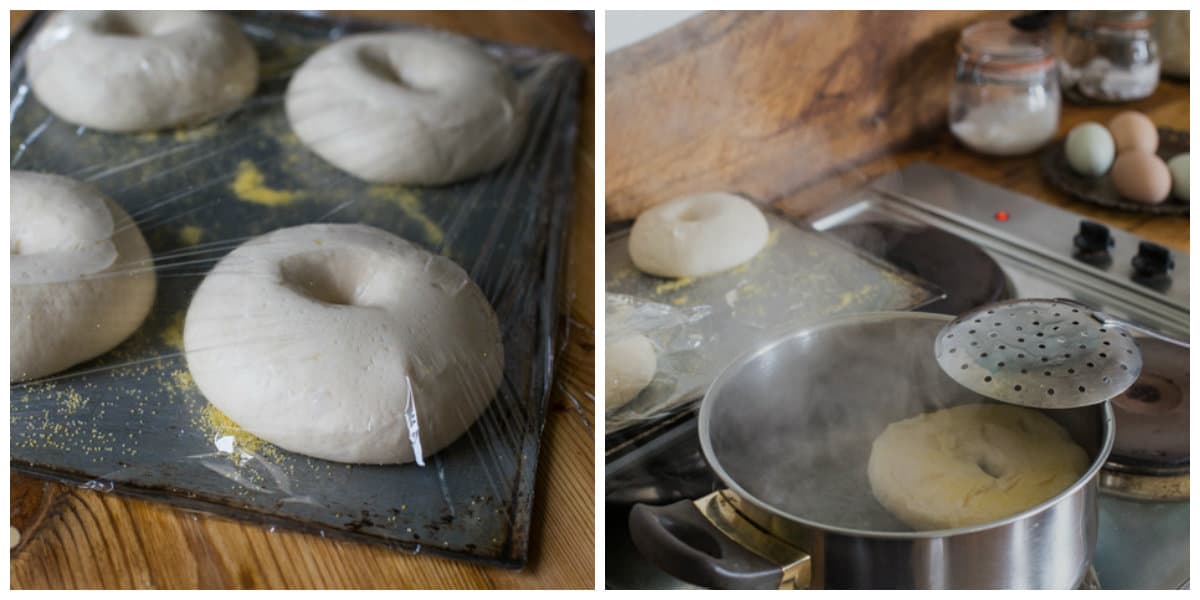 Proving and poaching bagels for the New York Bagel Recipe