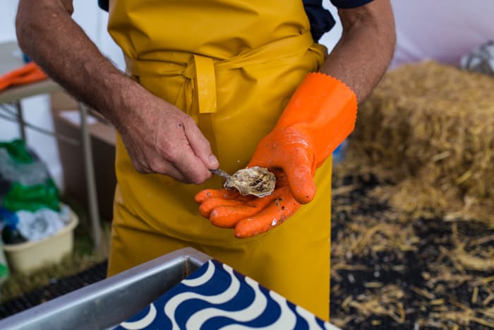 Rock Oyster Festival 2017