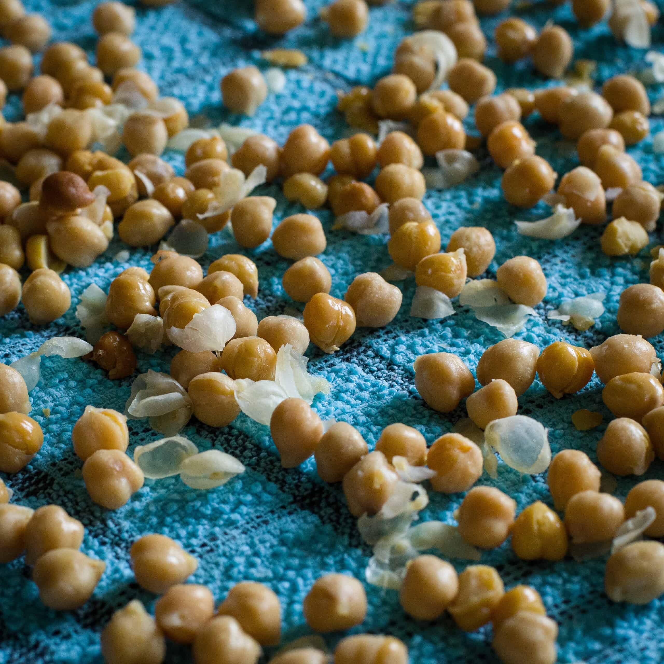 Canned chickpeas on a blue cloth drying 