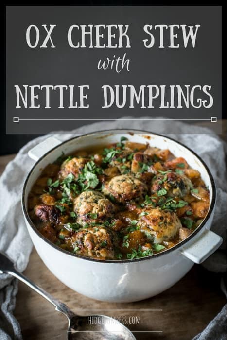 Ox Cheek Stew with Nettle Dumplings in a casserole dish on a wooden tavle with a cloth and serving spoon