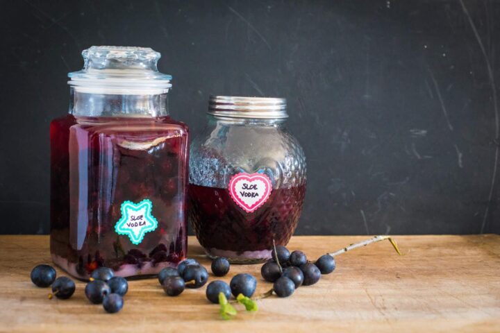 Homemade sloe vodka in glass bottles on a wooden table with sloes