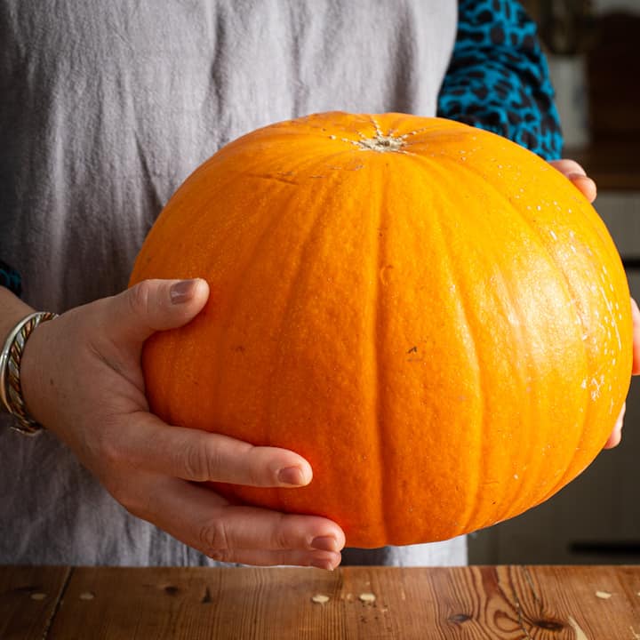 Woman in grey holding a large orange pumpkin