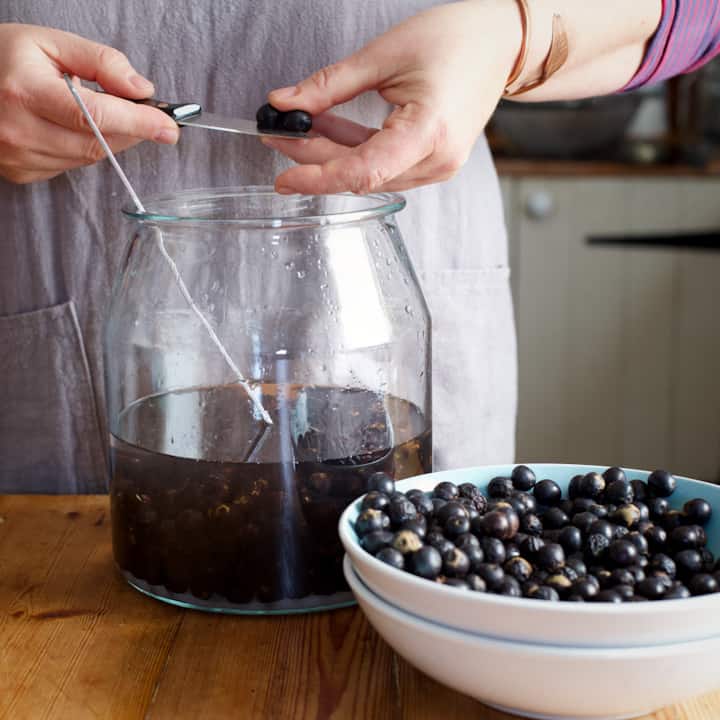 Woman’s hands slicing wild sloes before dropping them into a glass jar of liqueur solution