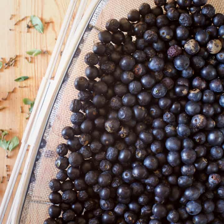 Cleaned wild sloes in a silver metal strainer on a wooden kitchen counter