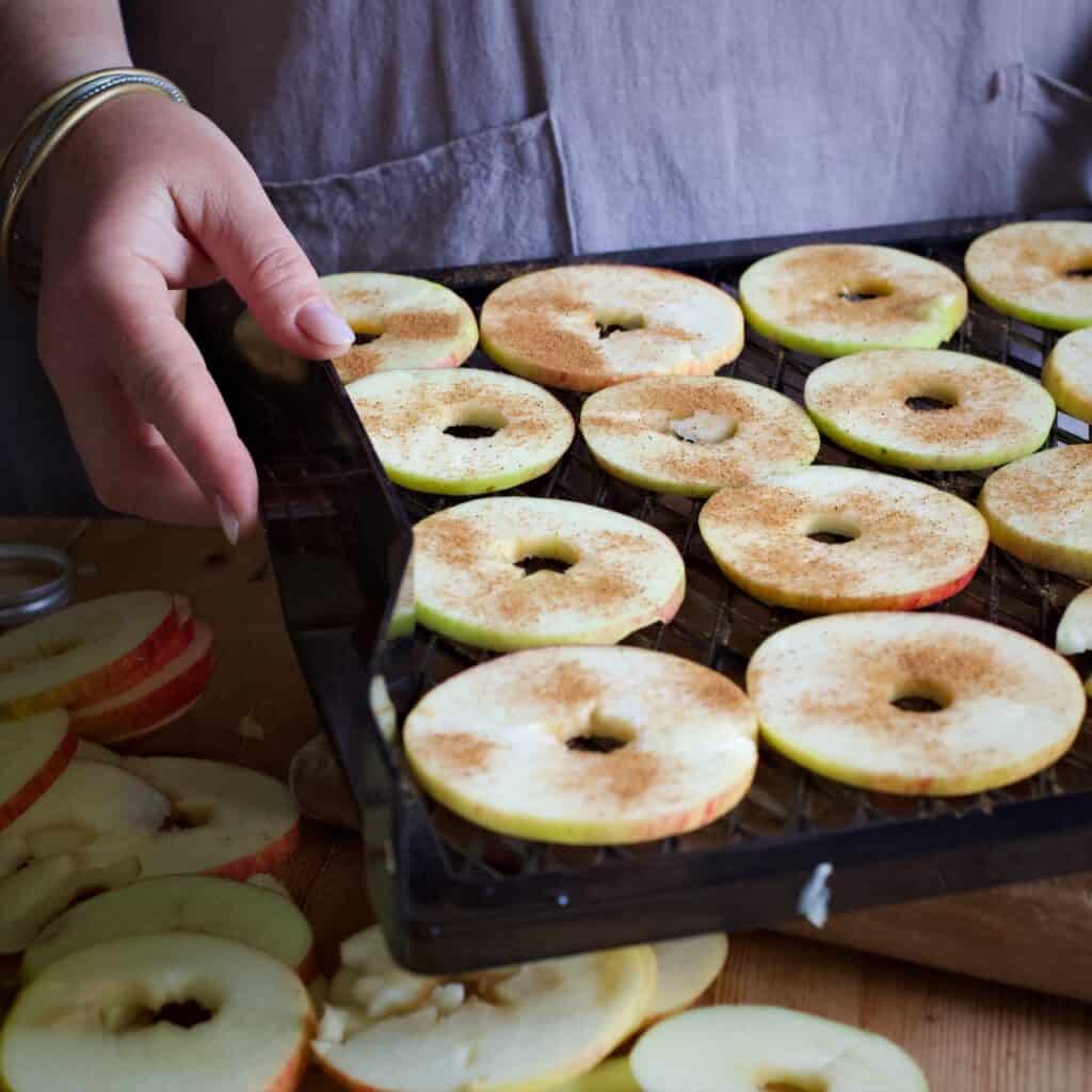 Woman in grey holding a black plastic tray of apple slices with a sprinkling of cinnamon on