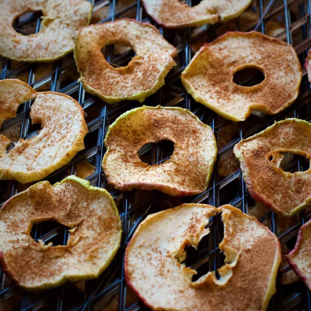 Several slices of cinnamon dried apple rings on a black dehydrator rack