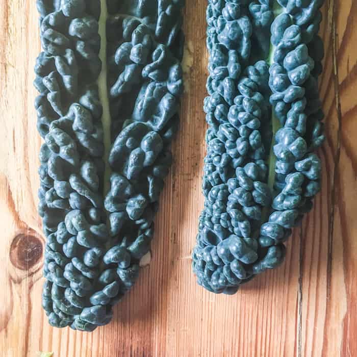 close up of bubbly looking green 2 kale leaf tips